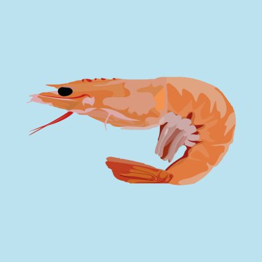 yemek etiket tasarımı