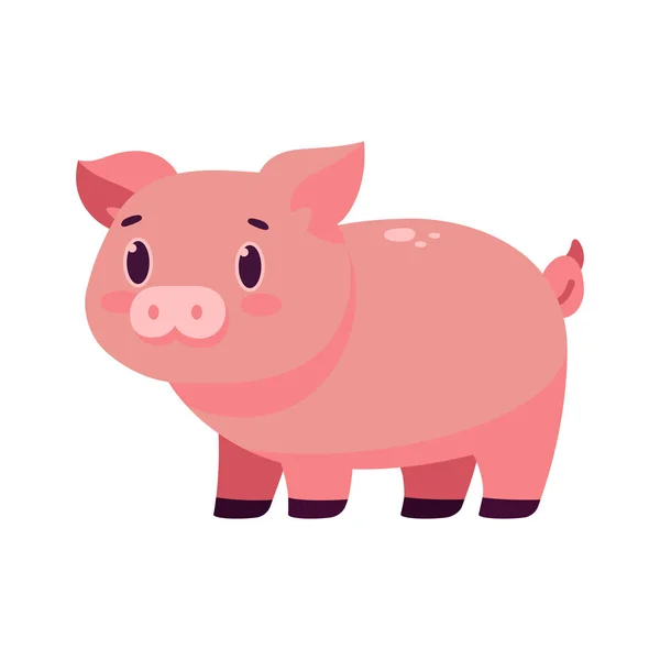 Desen animat izolat al unui porc — Vector de stoc