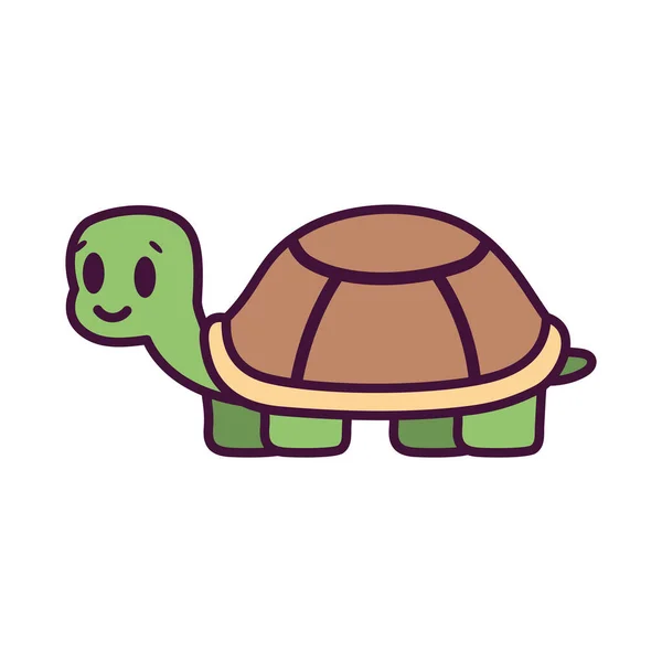 Изолированный мультфильм о черепахе — стоковый вектор