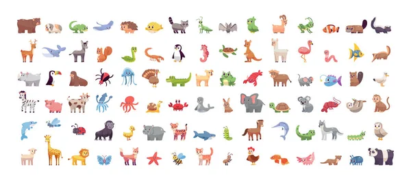 Bir dizi vahşi hayvan çizgi filmi.