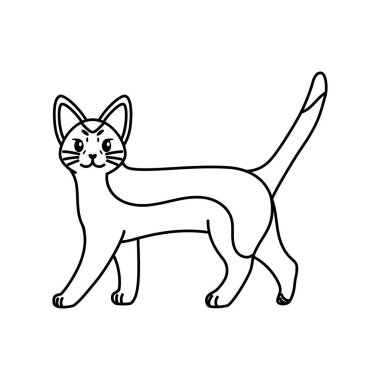 Bir kedinin izole edilmiş ana hatları.