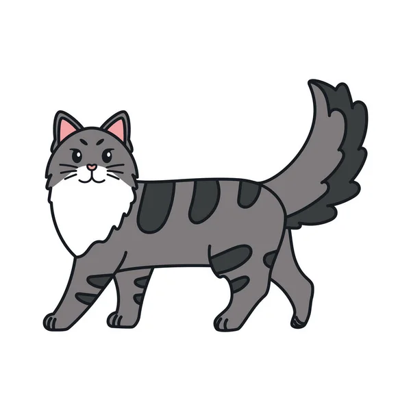 Dibujos animados aislados de un gato — Vector de stock