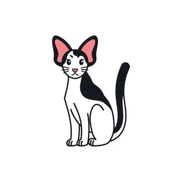 Geïsoleerde cartoon van een kat — Stockvector