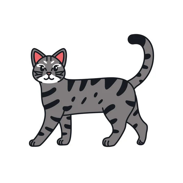 Dibujos animados aislados de un gato — Vector de stock