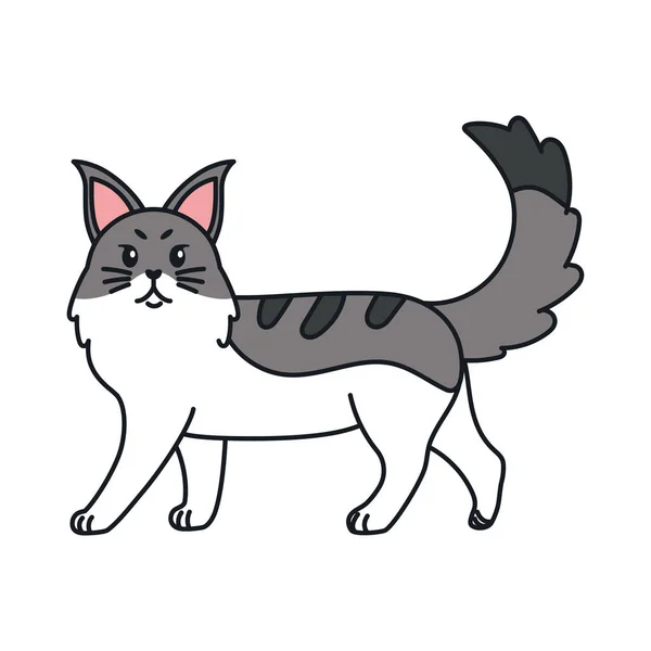Caricature isolée d'un chat — Image vectorielle