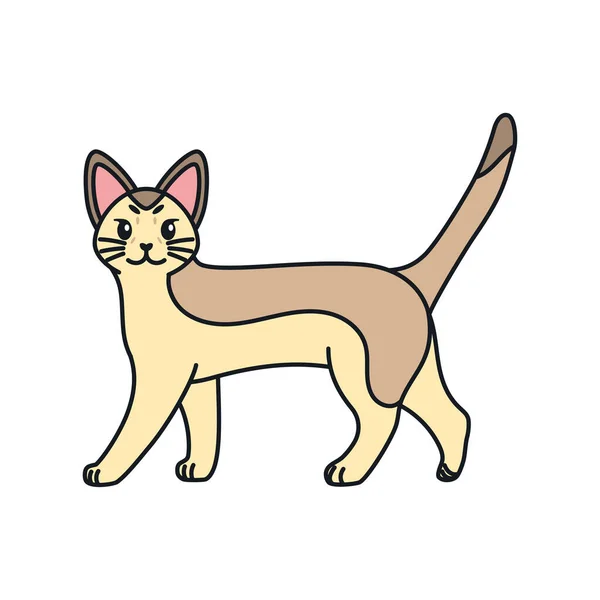 Dibujos animados aislados de un gato — Vector de stock