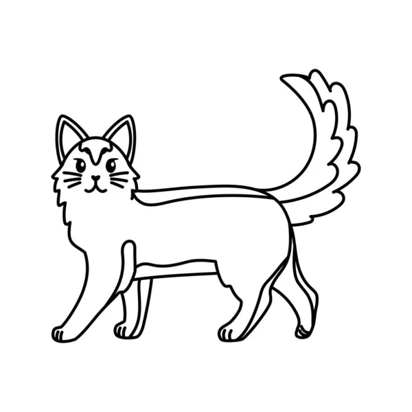 Esquema aislado de un gato — Vector de stock