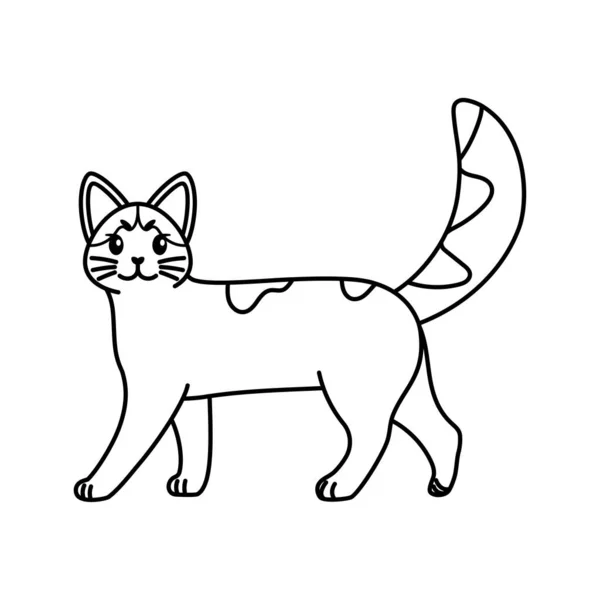 Esquema aislado de un gato — Vector de stock