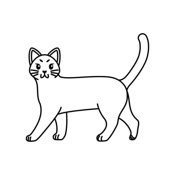 Schema isolato di un gatto — Vettoriale Stock