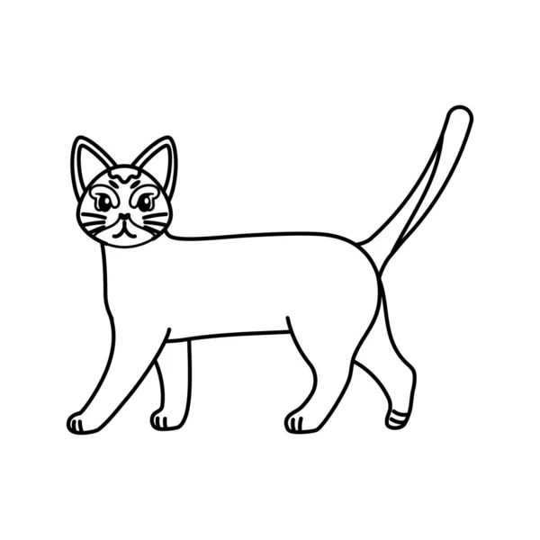 고양이의 독특 한 윤곽 — 스톡 벡터