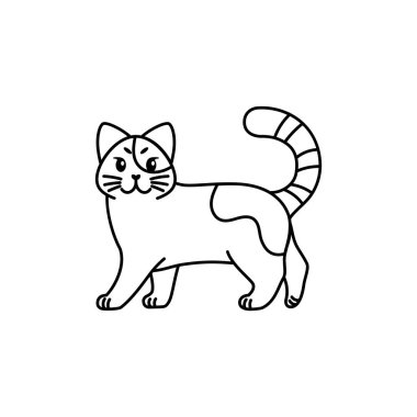 Bir kedinin izole edilmiş ana hatları.