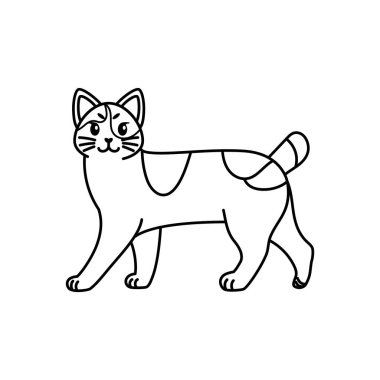 Bir kedinin izole edilmiş ana hatları.