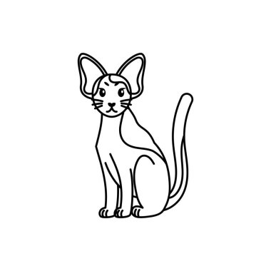 Bir kedinin izole edilmiş ana hatları.