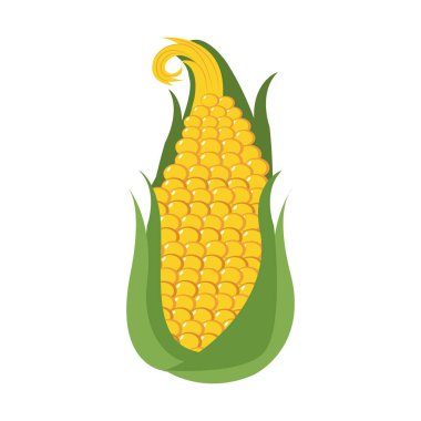 İzole mısır koçanı simgesi