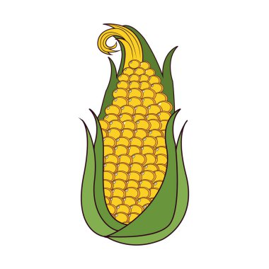 İzole mısır koçanı simgesi