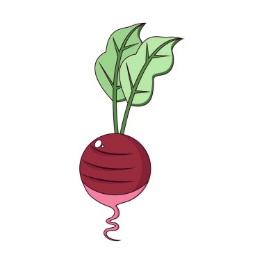 İzole edilmiş turp simgesi