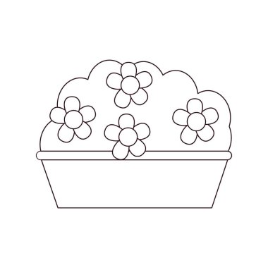 Tencere simgesinde izole edilmiş çiçekler