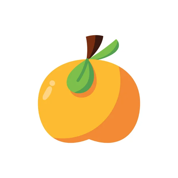 Icono aislado de fruta de melocotón naranja — Vector de stock