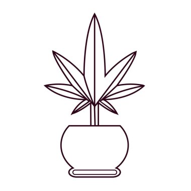 İzole edilmiş kenevir doğal ilaç tenceresi