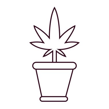 İzole edilmiş kenevir doğal ilaç tenceresi