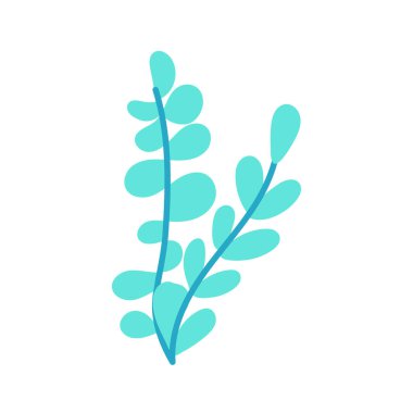 İzole edilmiş tatlı deniz yosunu. Deniz yaşamı