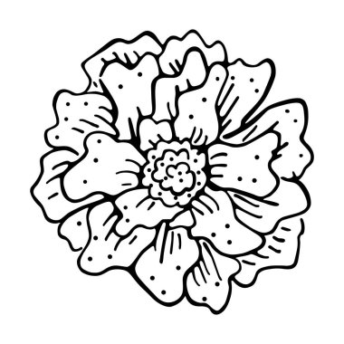 İzole çiçek eskizi İlkbahar zamanı