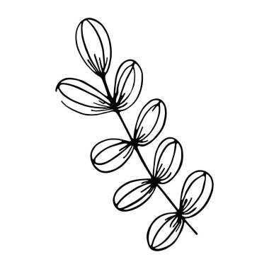 İzole edilmiş bir ağaç yaprağı çizimi.