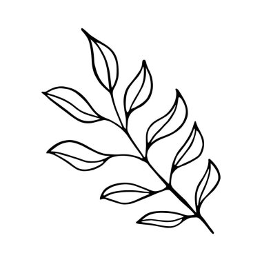 İzole edilmiş bir ağaç yaprağı çizimi.