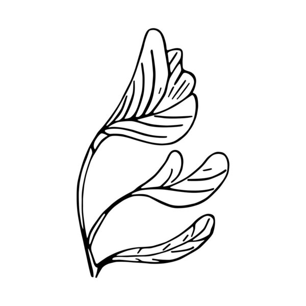 Isolated sketch of a tree leaves