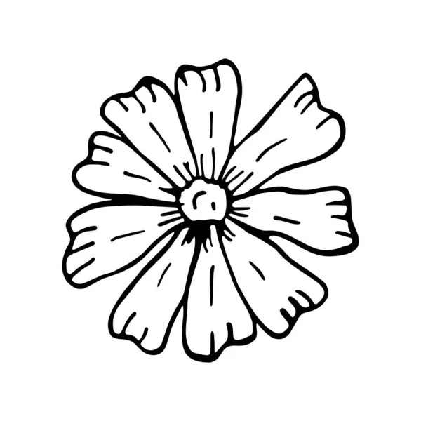 孤立した花のスケッチ春の時間 — ストックベクタ
