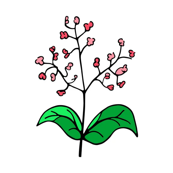 Vereinzelte Blumenskizze Frühlingszeit — Stockvektor