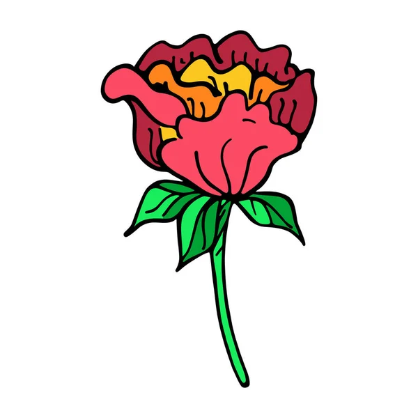 Bosquejo de flores aisladas Primavera — Vector de stock