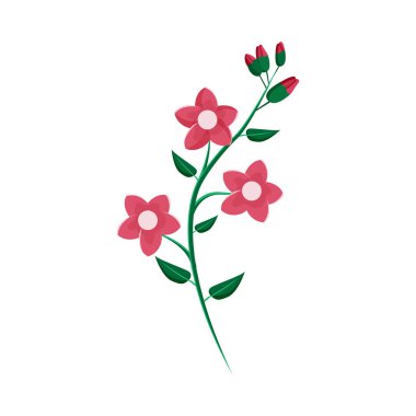 Aquarelle tekniğinde yalıtkan çiçek