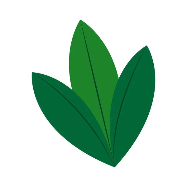 Ikona izolovaných listů rostlin — Stockový vektor