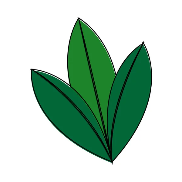 Icono de hoja de planta aislada — Vector de stock