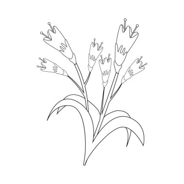 Bir çiçeğin izole edilmiş dış çizgisi.