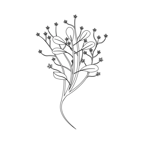 花の孤立した輪郭 — ストックベクタ
