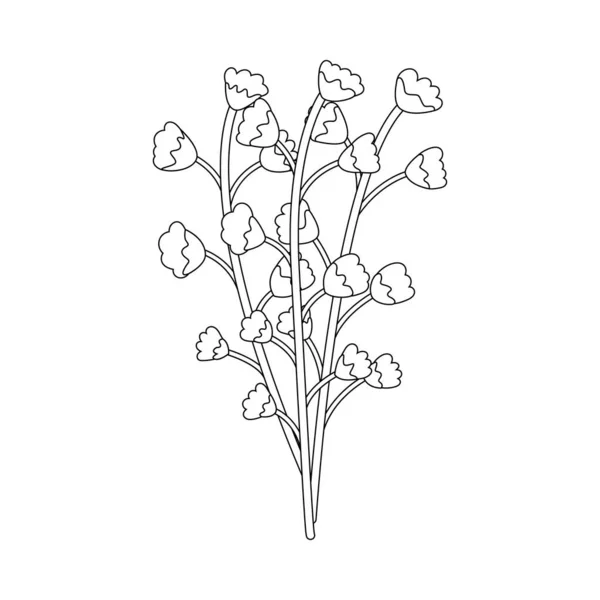 Contour isolé d'une fleur — Image vectorielle