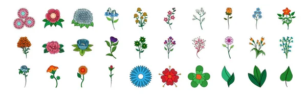 一套花卉和树叶草图 — 图库矢量图片