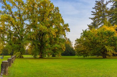 Renkli ve canlı sonbahar renkleri ve parktaki parlak mavi gökyüzü