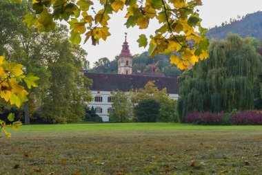  Eggenberg Sarayı ve parktaki renkli sonbahar renkleri. Seçici odak
