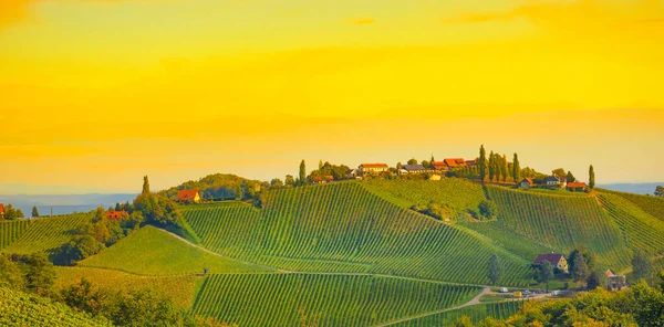Vineyards South Styrian Wine Road Charming Region Border Austria Slovenia — Stock Photo, Image