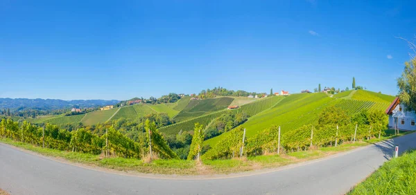 Weinberge Entlang Der Südsteirischen Weinstraße Einer Reizvollen Region Der Grenze — Stockfoto