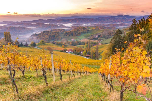 Herbstlandschaft Mit Südsteirischen Weinbergen Bekannt Als Österreichische Toskana Eine Reizvolle — Stockfoto