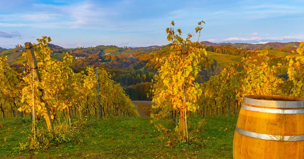 Paisaje Otoñal Con Viñedos Del Sur Estiria Conocida Como Toscana — Foto de Stock