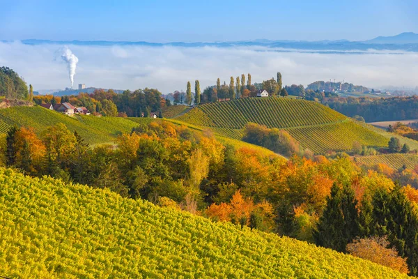 Herbstlandschaft Mit Südsteirischen Weinbergen Bekannt Als Österreichische Toskana Eine Reizvolle — Stockfoto