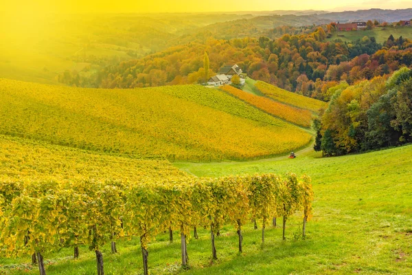 Herbstlandschaft Mit Südsteirischen Weinbergen Bekannt Als Österreichische Toskana Eine Reizvolle — Stockfoto