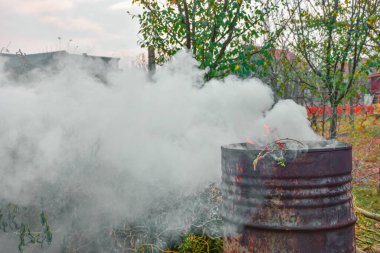 Bahçede sonbahar aktivitesi, yanan yapraklar, dallar ve eski paslı bir fıçıda kuru çimenler. Kırsal kesimdeki çiftçilerin hava kirliliği