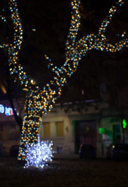 Fundo Borrado Com Decorações Inverno Noite Centro Cidade Arad Romênia — Fotografia de Stock