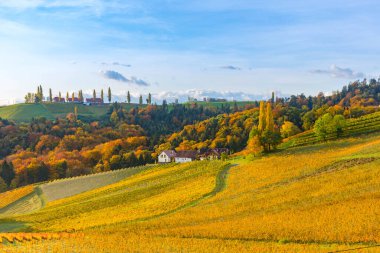 Avusturya ve Slovenya sınırında kayan tepeler, pitoresk köyler ve şarap tavernaları ile birlikte büyüleyici bir bölge olan Avusturya Toskana olarak bilinen Güney Styria üzüm bağlarıyla sonbahar manzarası